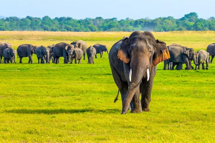 Family Holiday – Wildlife & Beach