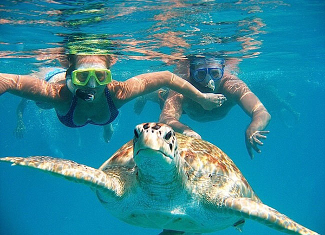Best of Sri Lanka & Beach Tour